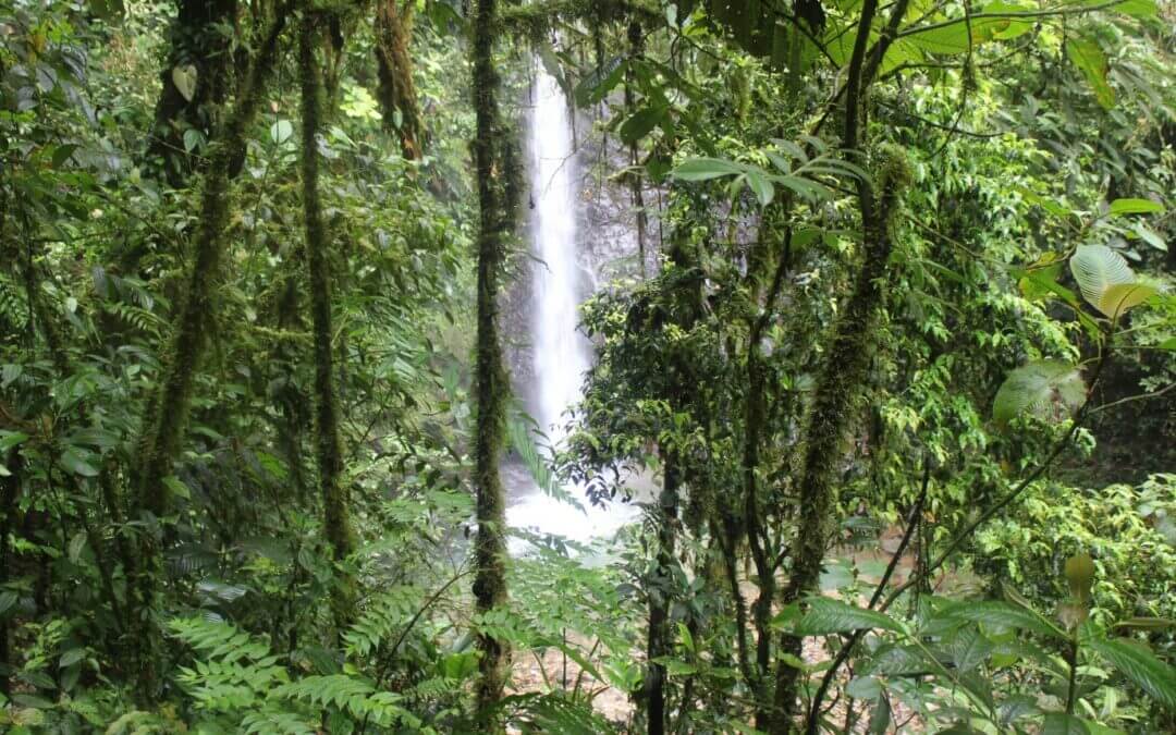 ECUADOR’S CLOUD FOREST